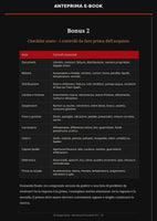 Checklist dell’e-book Alfa Romeo GTV e Spider 916 con i controlli essenziali prima dell’acquisto